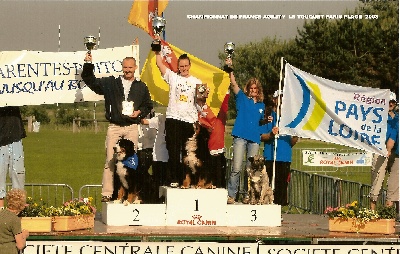 de la haute morinière - Championnat de France d'Agility 2008