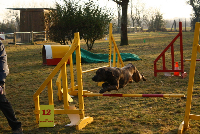 L'AGILITY....