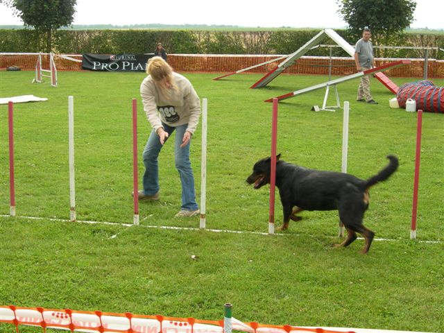 concours d'Agility